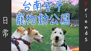 安平寵物運動公園| 傑克羅素日常| 狗狗聚會| 狗公園| 寵物公園 ... 