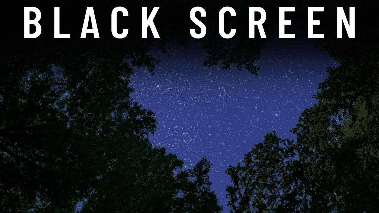 A Night Under The Forest Canopy Under The Stars Sleep Ambience