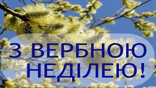 Вербна неділя! Красиве музичне відео. Вітаємо з Вербною неділею!