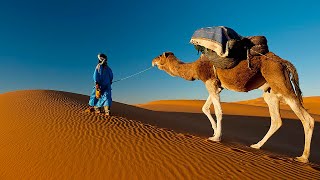 Desert Oud - Caravan