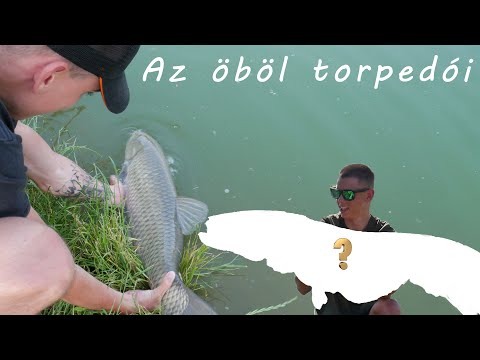 Videó: Mi az öböl mérete?