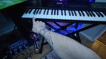 My Diy Midi bass pedals from Old midi keyboard in D-10 ......i love when stuff just works