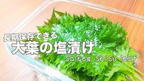 大葉の塩漬け Youtube