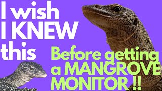 Top 5 things THEY DONT TELL YOU about mangrove monitors!