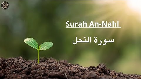 سورة النحل Surah an-nahl بصوت القارئ عمر الدريويز