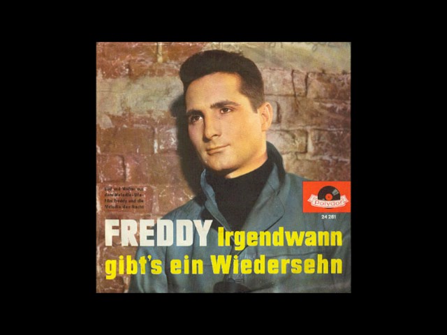 Freddy Quinn - Irgendwann Gibt's Ein Wiedersehen