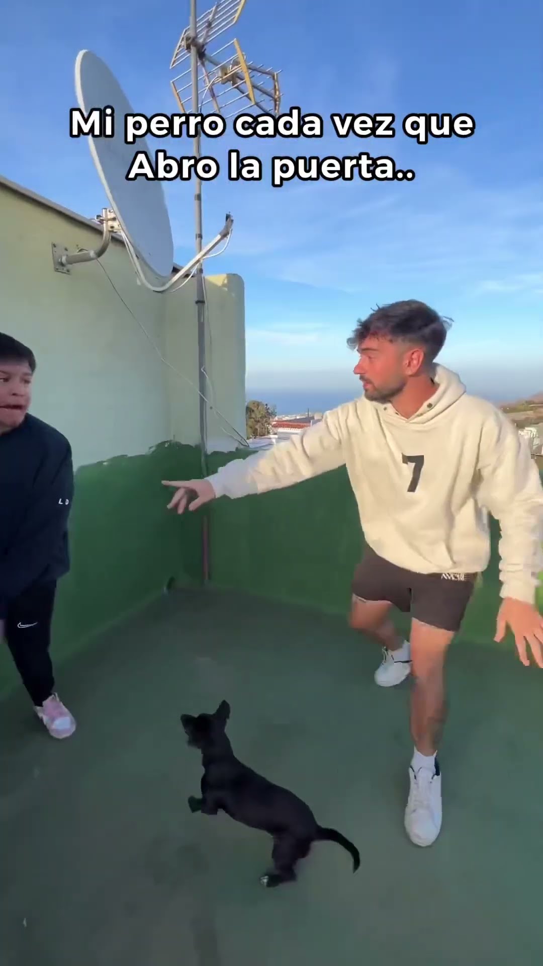 POV: Mi Perro Cada Vez Que Abro La Puerta.. ?? Paul Ferrer #short