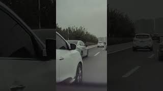 What Would You Do? (Tesla Autopilot)