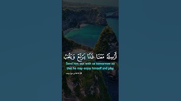 القرآن الكريم بصوت الشيخ خالد الجليل #duet #القران #راحة_نفسية #اكسبلور #دويتو #يارب #لايك