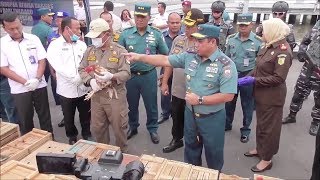 Penyelundupan puluhan ayam adu ilegal asal Thailand digagalkan