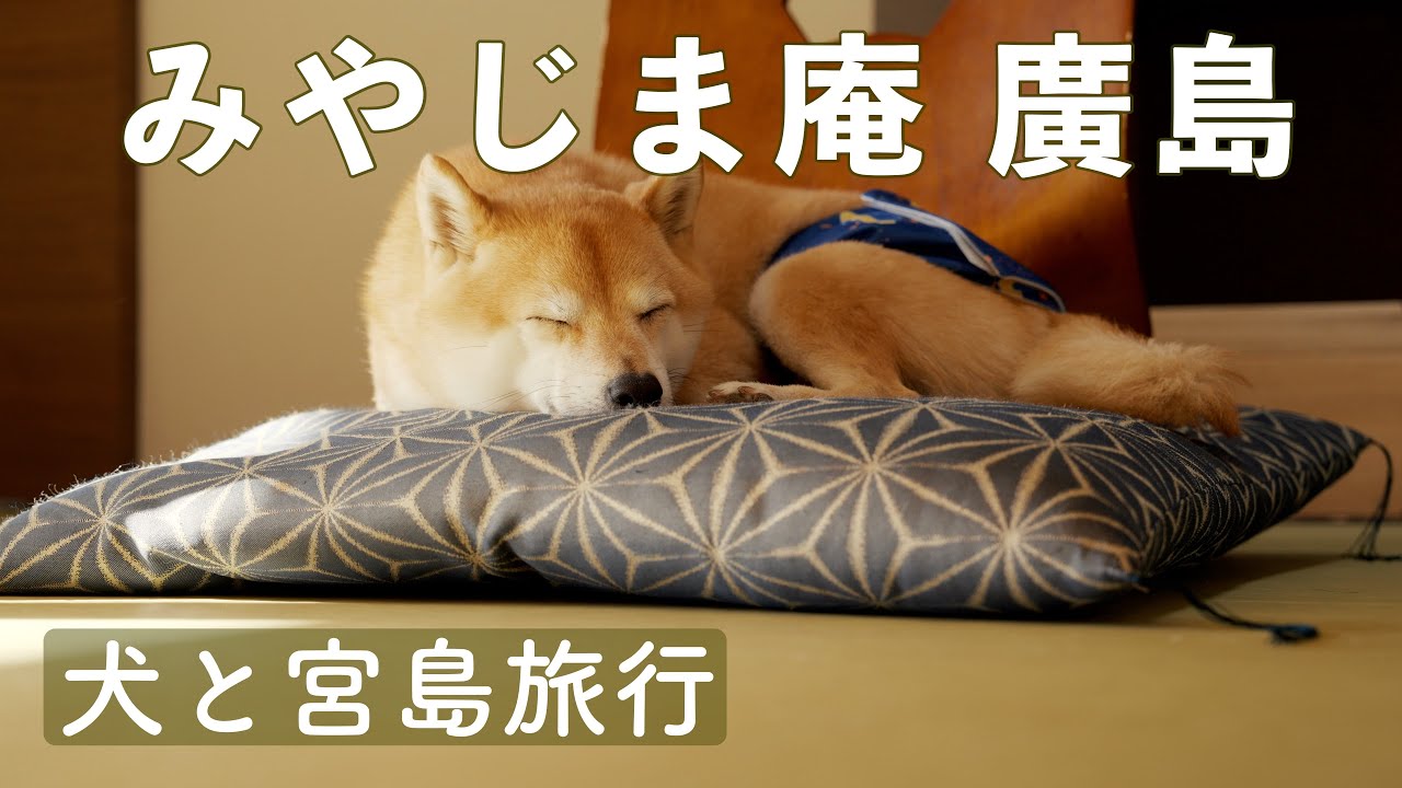 【犬連れ旅行】犬と泊まれる宮島のお宿 みやじま庵廣島（広島）