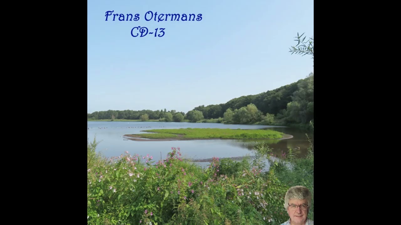 Frans Otermans CD-13 nr.15 Vallende sneeuw