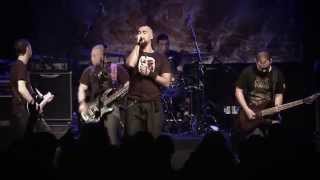 RISE TO FALL - Decoding Reality OFFICIAL Live VIDEO