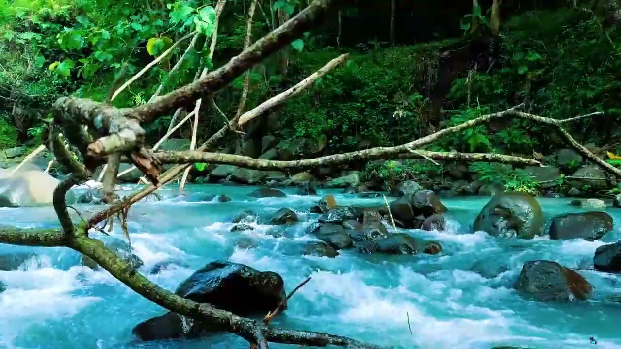 Tranquil River Sounds & Cozy Ambience for Relax and Stress Relief