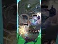 🥩LUX THE HONORED ONE  | CLIMBING WITH BRIAR TROLLPICKS | #briar #leagueoflegends #lux #clips