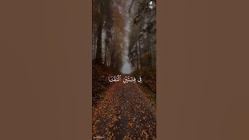 قُل لِّلَّذِينَ كَفَرُواْ سَتُغۡلَبُونَ وَتُحۡشَرُونَ - عبدالرحمن مسعد [ سورة آل عمران,١٢-١٣ ]