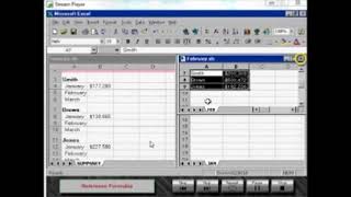 Viagrafix: Teach Yourself Microsoft Excel 97 Intermediate - Chapter 3