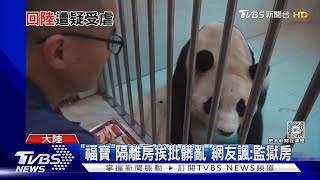 貓熊「福寶」返陸隔離遭偷拍 萬人質疑被虐TVBS新聞 @TVBSNEWS01