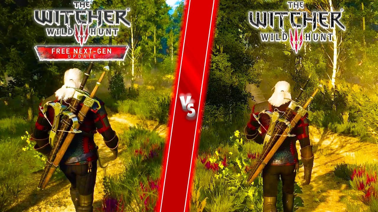 Witcher 3 Wild Hunt Next Gen vs Witcher 3 Wild Hunt Direct comparison