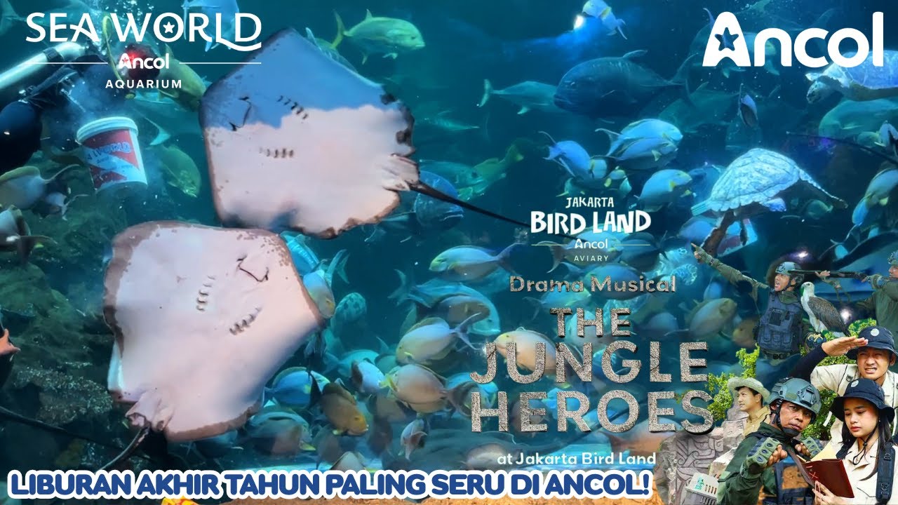 EXPLORE SEA WORLD ANCOL & JAKARTA BIRD LAND TERKINI | REKOMENDASI WISATA AKHIR TAHUN KELUARGA‼️