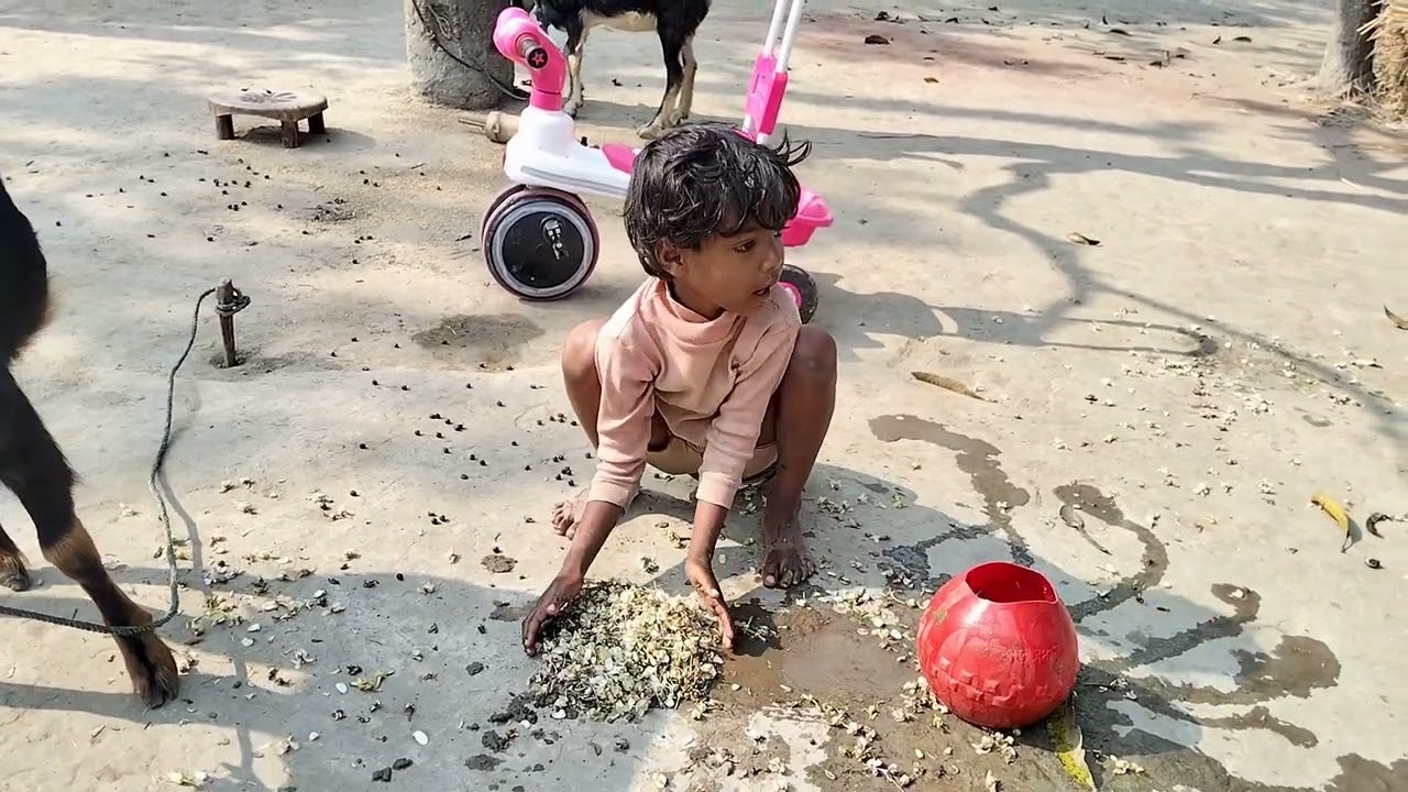 মেয়ে আমাকে মাটি দিয়ে কেক বানিয়ে খাওয়াবে।আমি খাবই।আপনার দাওয়াত রইলো। 