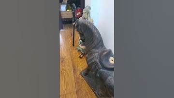 Quan công bên ngựa xích thố🌟