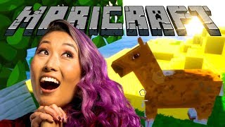 A NEW MARICRAFT ADVENTURE BEGINS