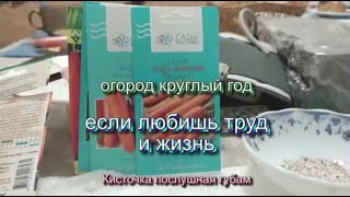 Огород круглый год,  если любишь труд и жизнь