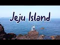 Exploring Jeju Island | Yonsei University Exchange Program
