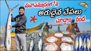 Rare Fishes at Chirala Beach | Chirala Fish Market #teluguvlogs #fishing #shark #tuna #streetfood