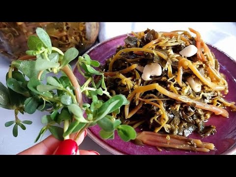 Все будут выпрашивать рецепт! Полезный и очень вкусный сорняк!  Маринованный портулак.