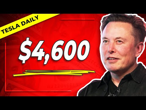 Musk Likes $4,600 TSLA Price Target, Talks Extreme Scale & Tesla AI