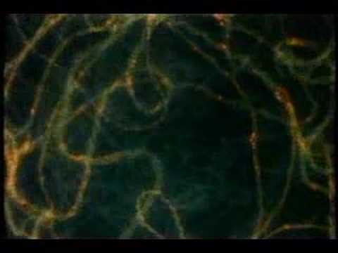 Carl Sagan on DNA