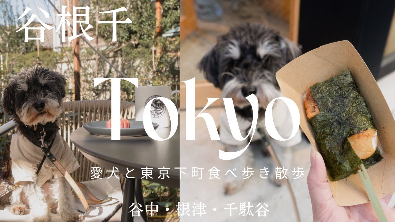 【東京vlog】谷根千カフェ・グルメ巡り | 愛犬と谷中銀座で食べ歩き | お着物で下町散策 | 古民家カフェ | 犬とお出かけ