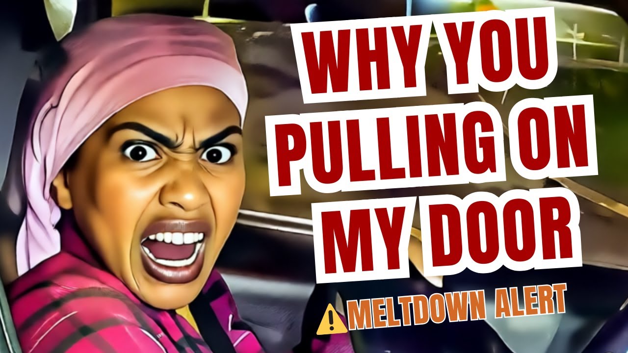 WATCH: Traffic Stop Ends Terribly, After Entitled Woman Refuses to ...