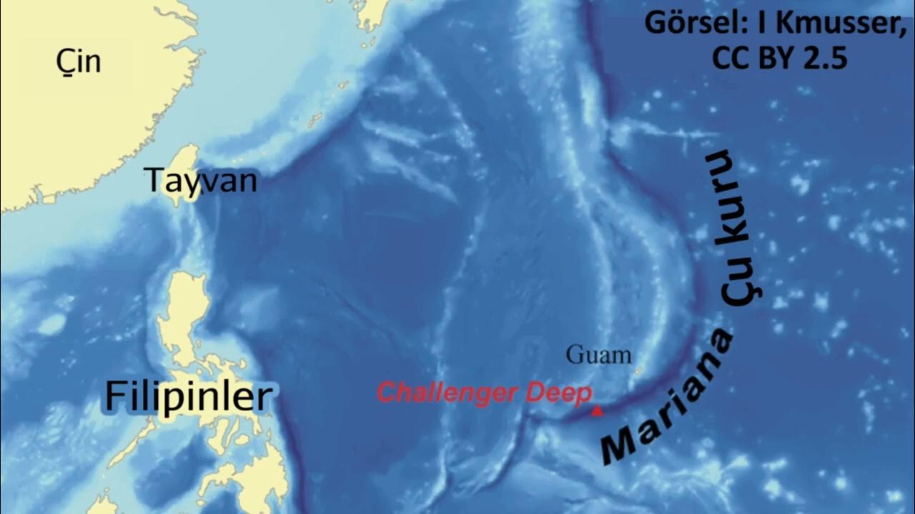 Марианский жёлоб глубина. Марианская впадина и эверест сравнение. Эверест и марианская впадина. Барьерный риф белиз. Впадина рисунок.