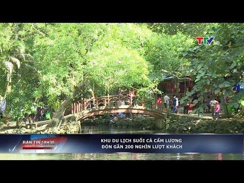 Video Khu du lịch suối cá thần Cẩm Lương đón gần 200 nghìn... - youtube