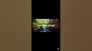 الشيخ ياسر الدوسري | تلاوة مؤثرة من القرآن الكريم
