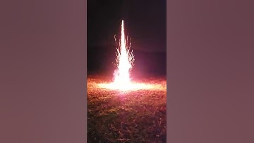 4" Shell Silver Tail, Silver Wave