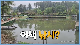 24시간 메기 루어낚시 (포천 수목원낚시터)