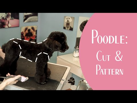Poodle: Cut & Pattern