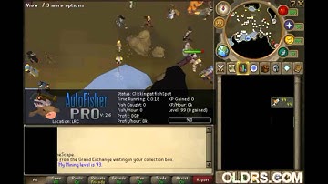 OLD RS FISHER - FREE RUNESCAPE BOT SCRIPT - PRO [OLDSCHOOL] [OS] [RS3]