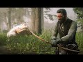 Cet Alligator m'a bien Gonflé - Red Dead Redemption 2 #11