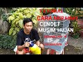 Tutorial Cara Merawat Cendet Dimusim Hujan Versi Bang Ucup Channel Mp3 - Mp4 Download