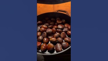 Thumbnail of Chestnuts roasting on a open fire  #shorts #roastingchestnuts #openfire