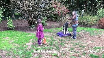 mat work; teaching Look at That cue on a mat!
