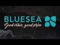 Bluesea puerto resort