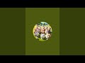 Magic Animation sedang live sekarang!