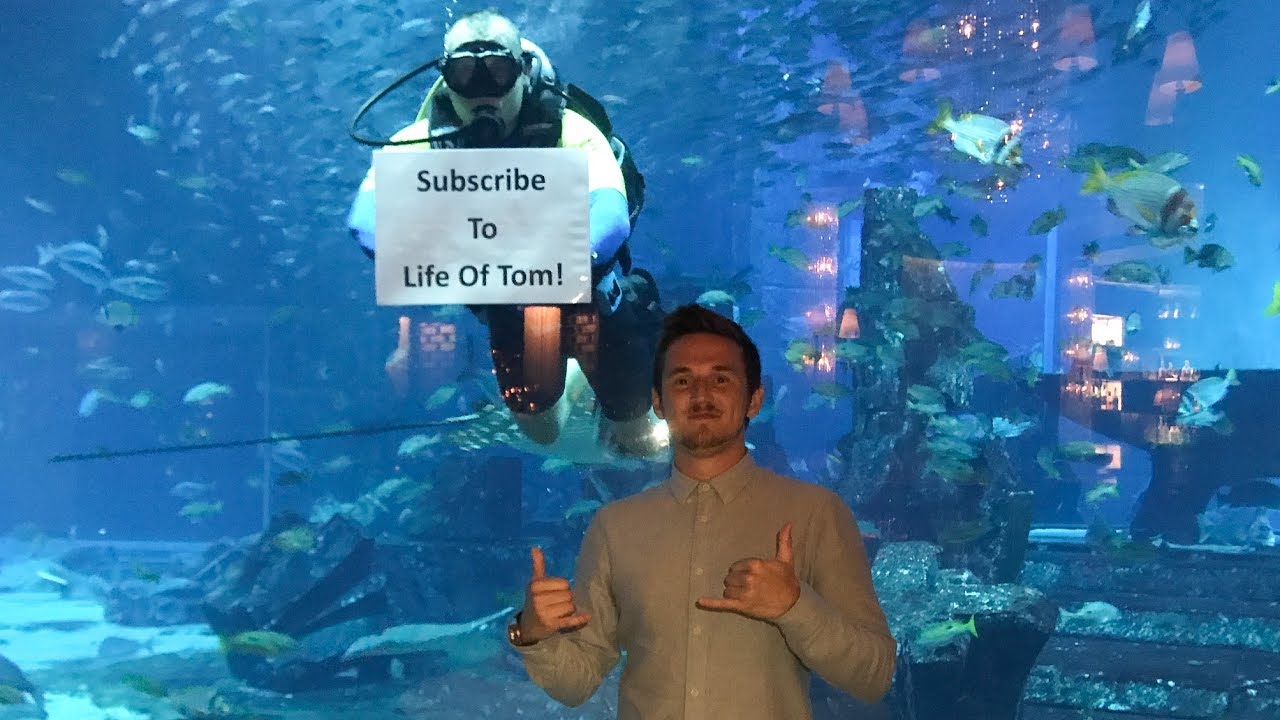 I couldn't believe.. THIS ACTUALLY HAPPENED!!