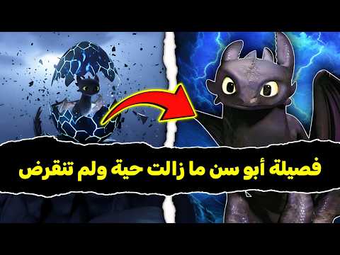 القصة الكاملة ل أبو سن وأسرار فصيلة غضب الليل